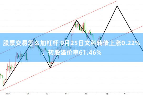 股票交易怎么加杠杆 9月25日文科转债上涨0.22%，转股溢价率61.46%