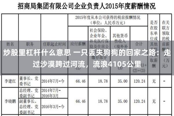 炒股里杠杆什么意思 一只丢失狗狗的回家之路：走过沙漠跨过河流，流浪4105公里