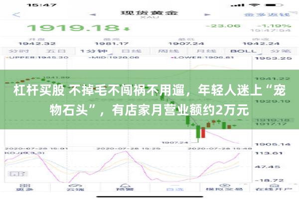 杠杆买股 不掉毛不闯祸不用遛，年轻人迷上“宠物石头”，有店家月营业额约2万元
