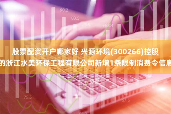 股票配资开户哪家好 兴源环境(300266)控股的浙江水美环保工程有限公司新增1条限制消费令信息