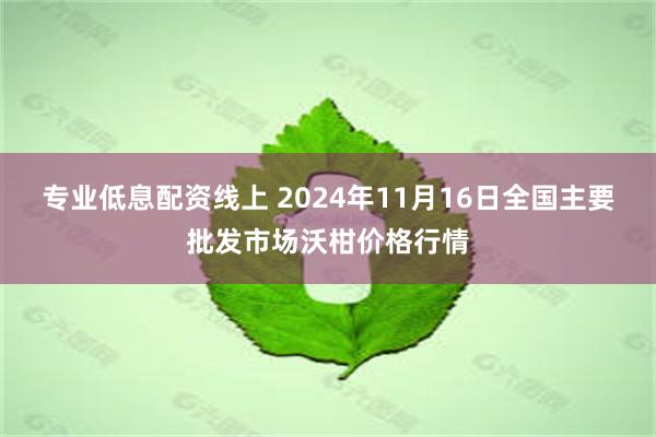 专业低息配资线上 2024年11月16日全国主要批发市场沃柑价格行情