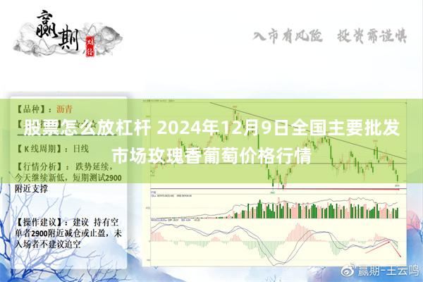 股票怎么放杠杆 2024年12月9日全国主要批发市场玫瑰香葡萄价格行情