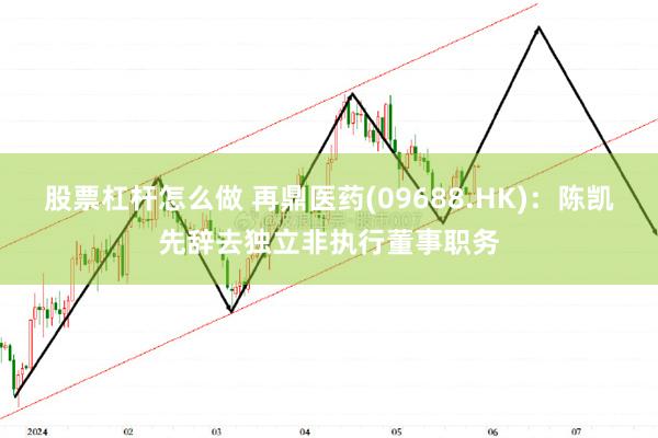 股票杠杆怎么做 再鼎医药(09688.HK)：陈凯先辞去独立非执行董事职务