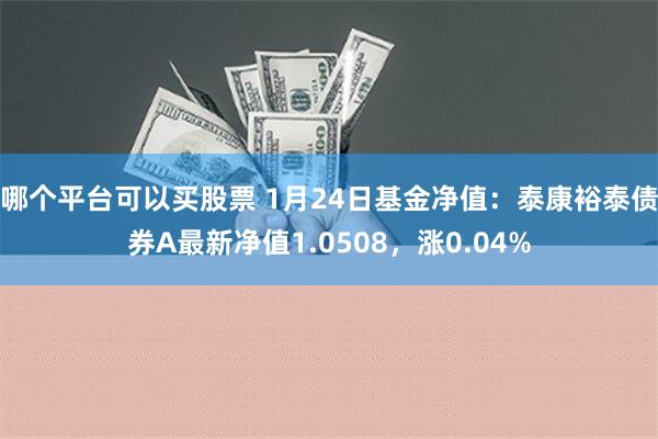 哪个平台可以买股票 1月24日基金净值：泰康裕泰债券A最新净值1.0508，涨0.04%