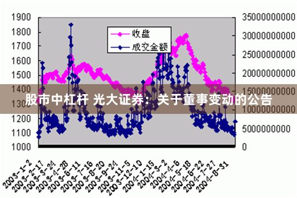 股市中杠杆 光大证券：关于董事变动的公告